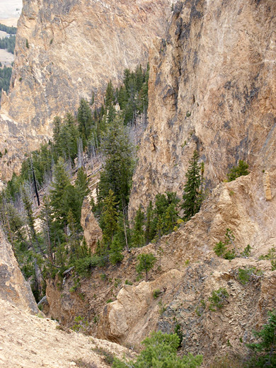 Trees and cliffs