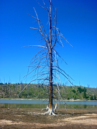 Turbid Lake