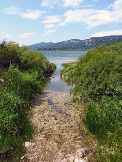 Inlet on the northeast side of Two Ocean Lake