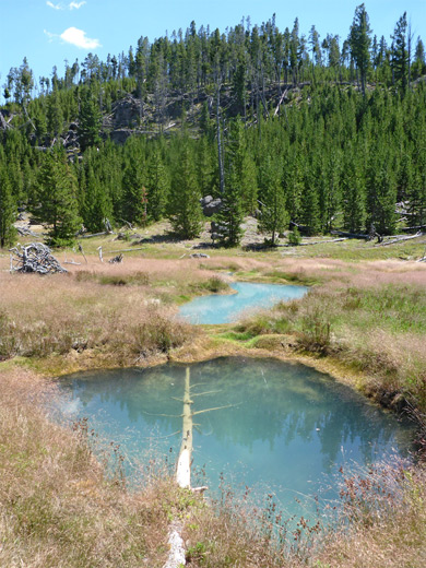 Tree in a pool, Rabbit Creek Group