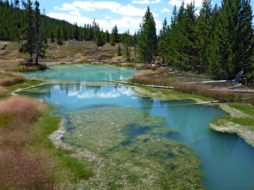 Turquoise pools