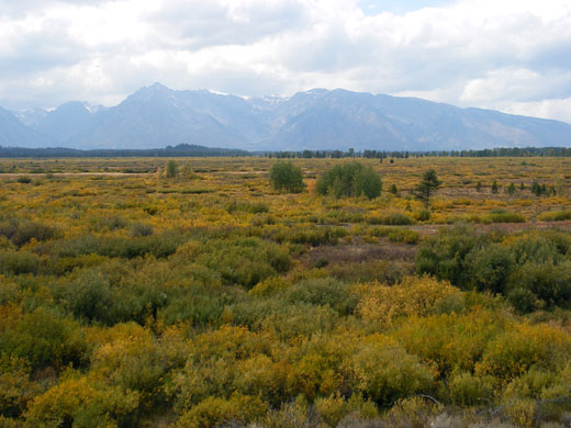 Willow Flats Overlook