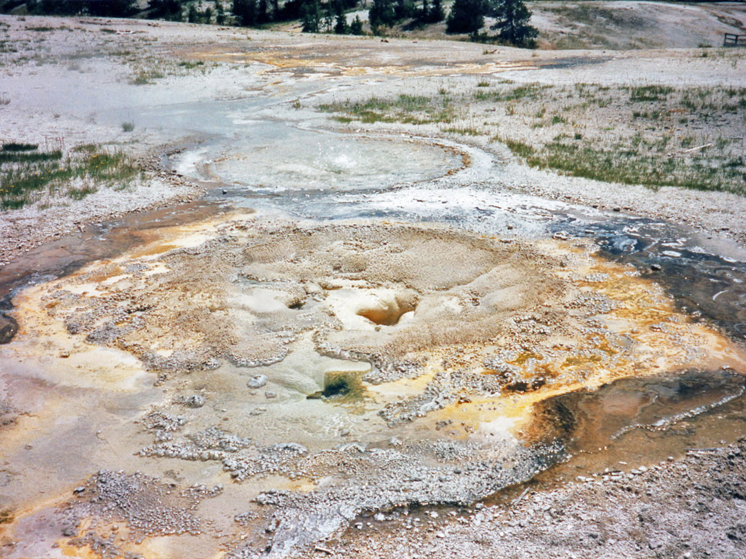 Anemone Geyser, on Geyser Hill