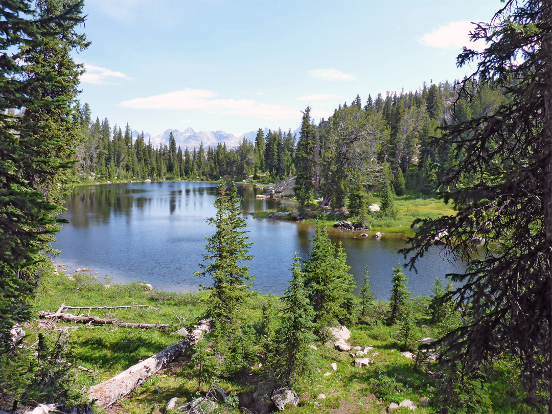 Barbara Lake