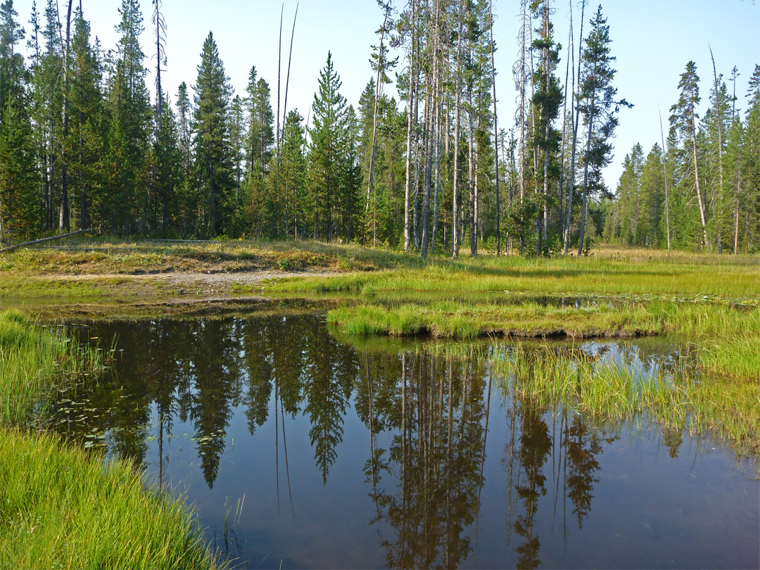 Bartlett Slough