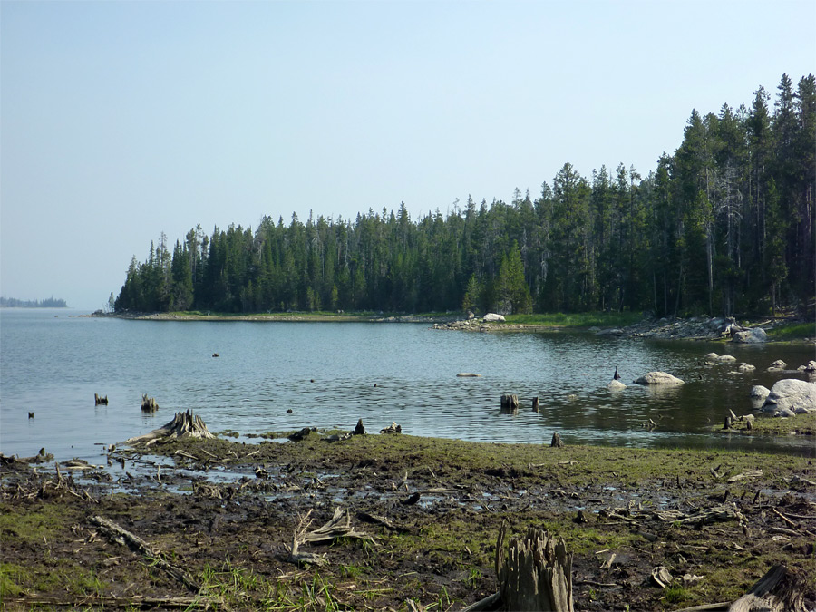 Bearpaw Bay