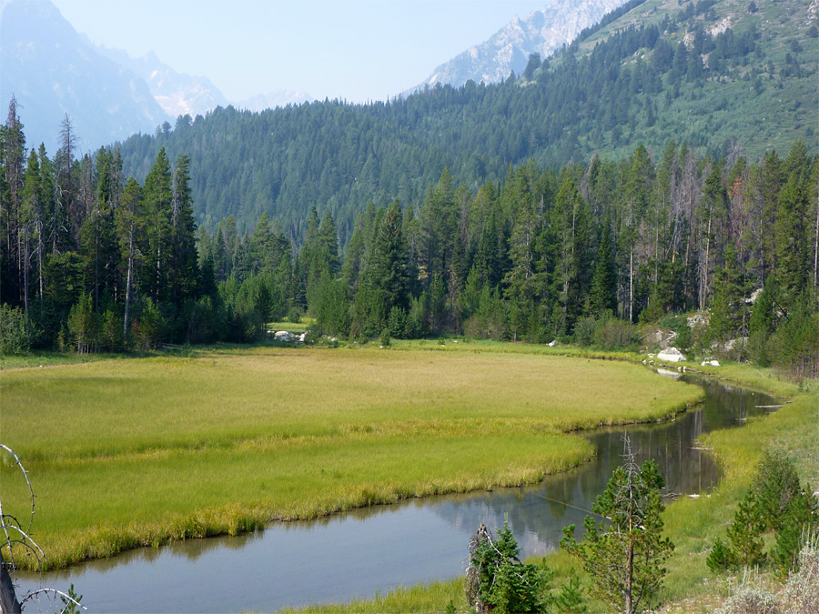 Stream from Bearpaw Lake