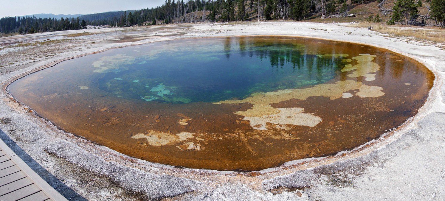 Beauty Pool