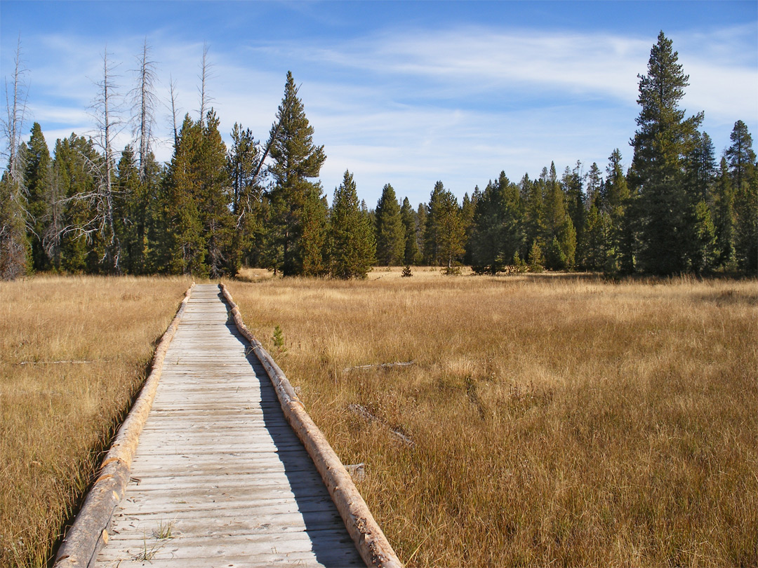 Boardwalk across the meadows