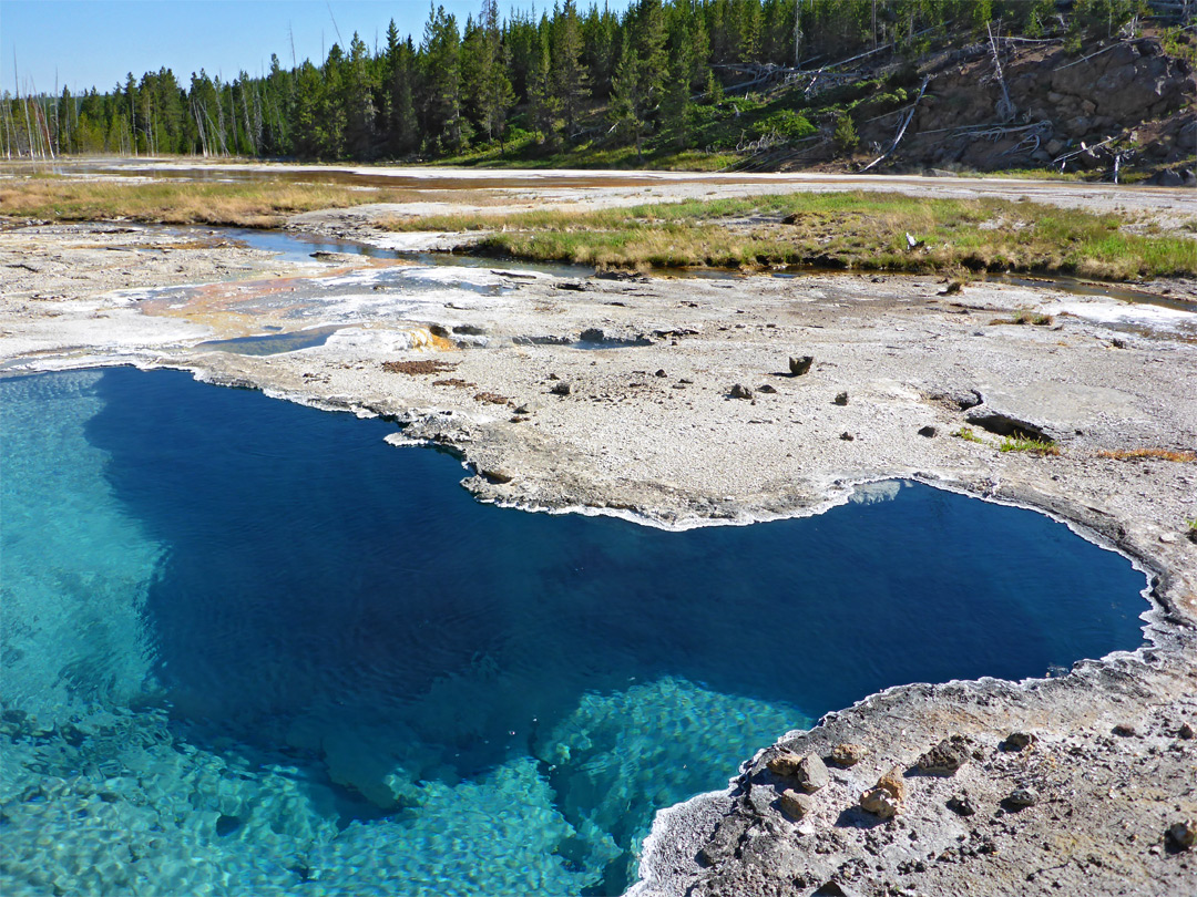 Rim of Bone Pool