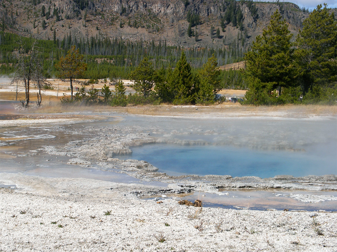 Cauliflower Geyser