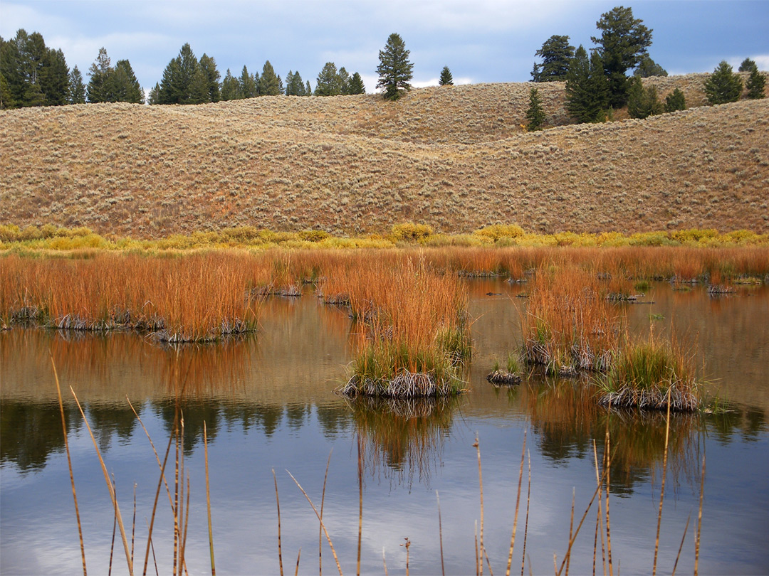 Christian Pond