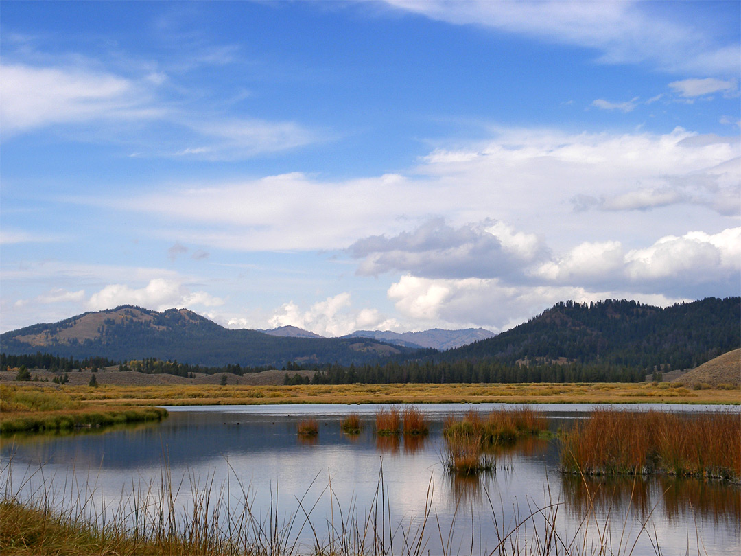 Christian Pond - view north