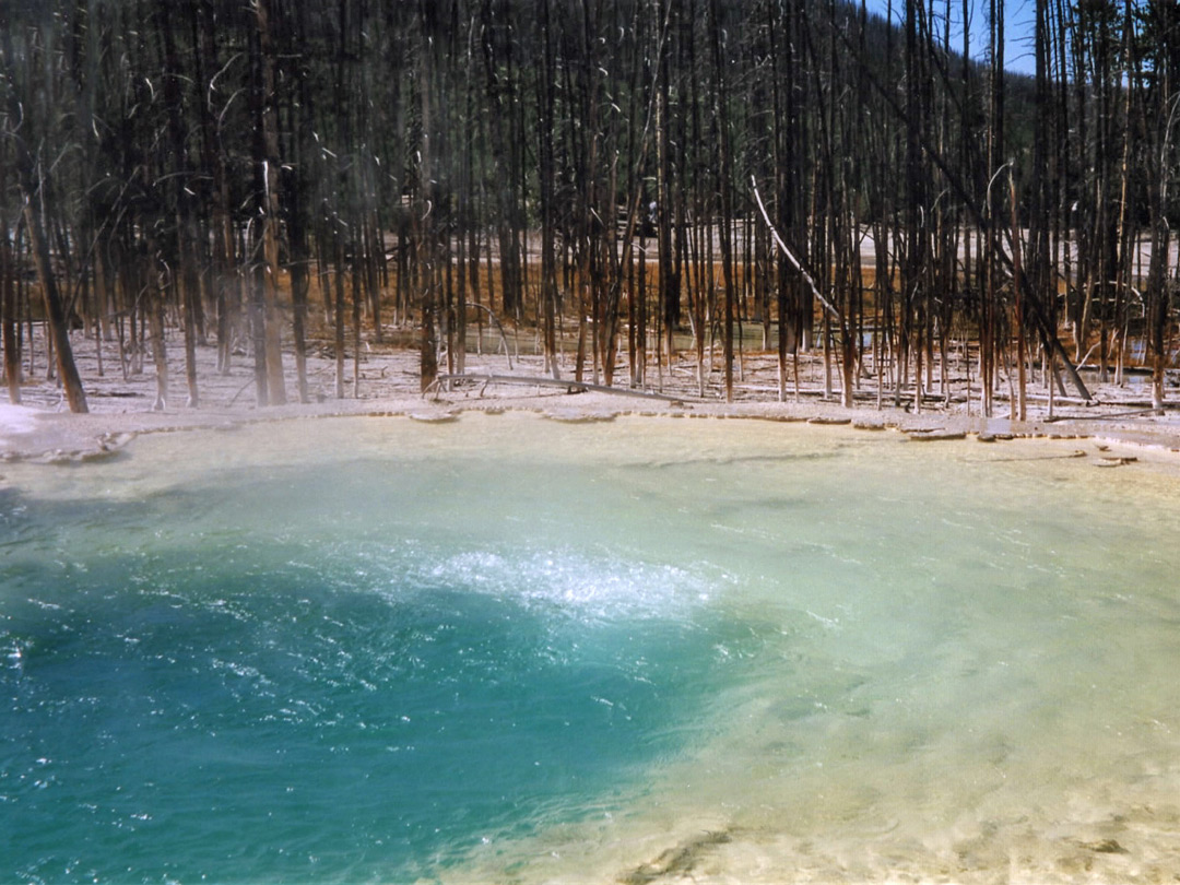 Cistern Spring