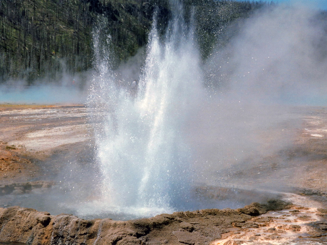 Boiling water from Cliff Geyser