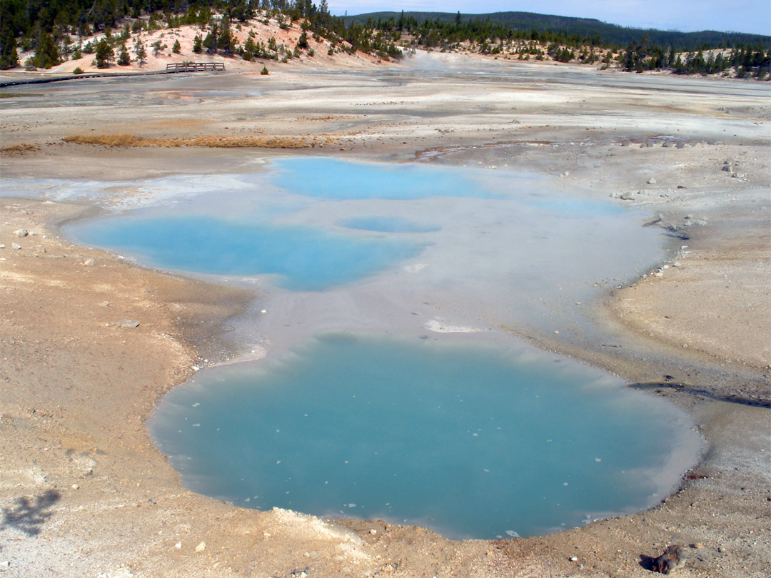 Colloidal Pool