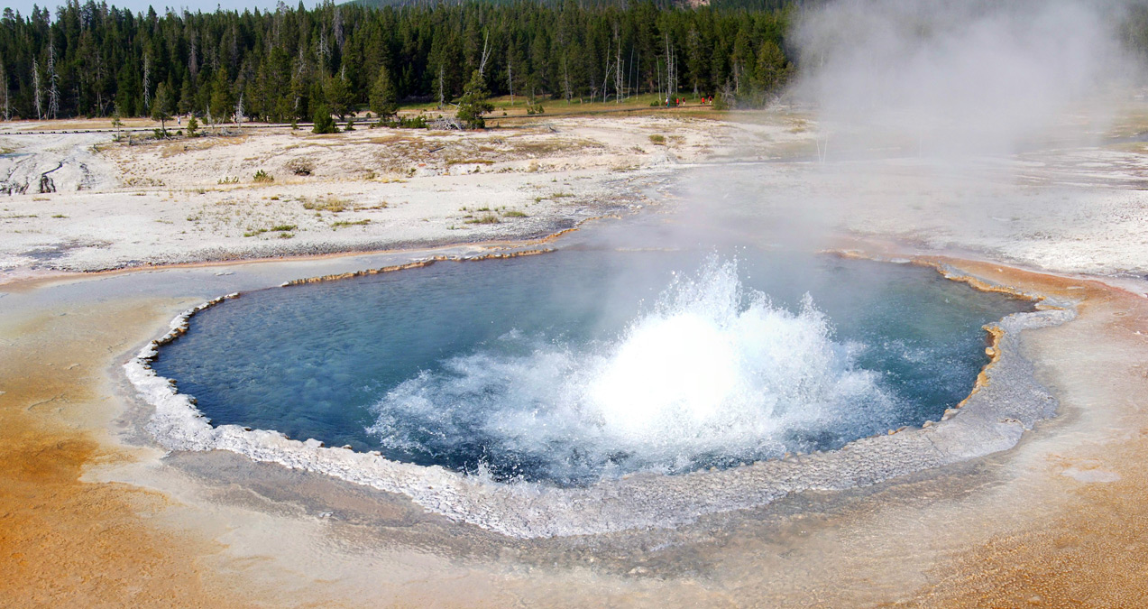 Crested Pool