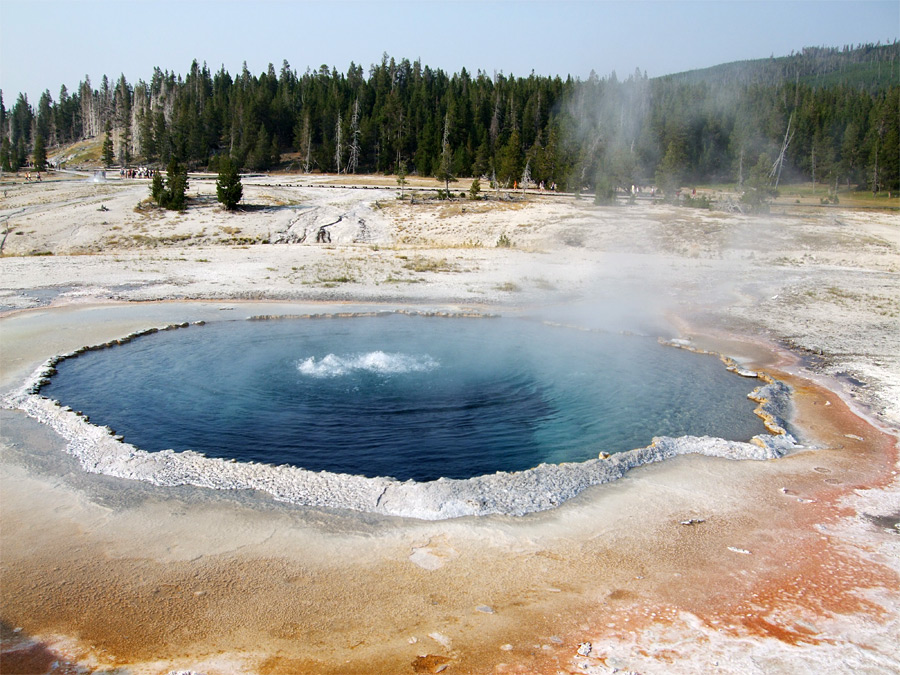 Steam above Crested Pool