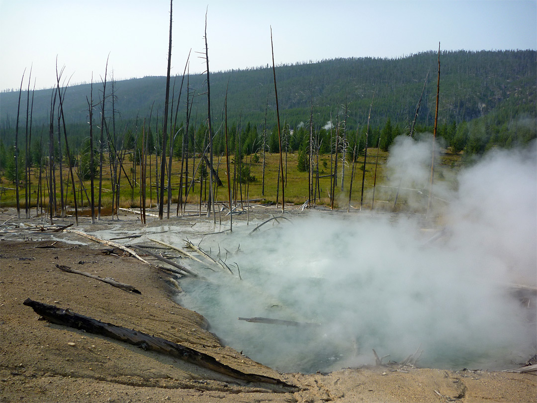 Steam from Dante's Inferno: Sylvan Springs, Yellowstone National Park,  Wyoming