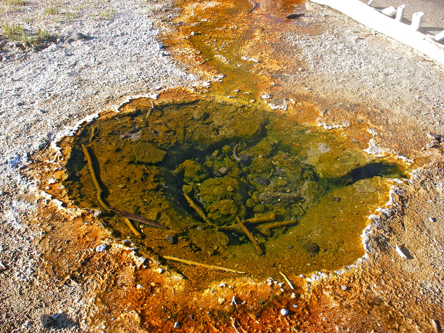 Warm pool