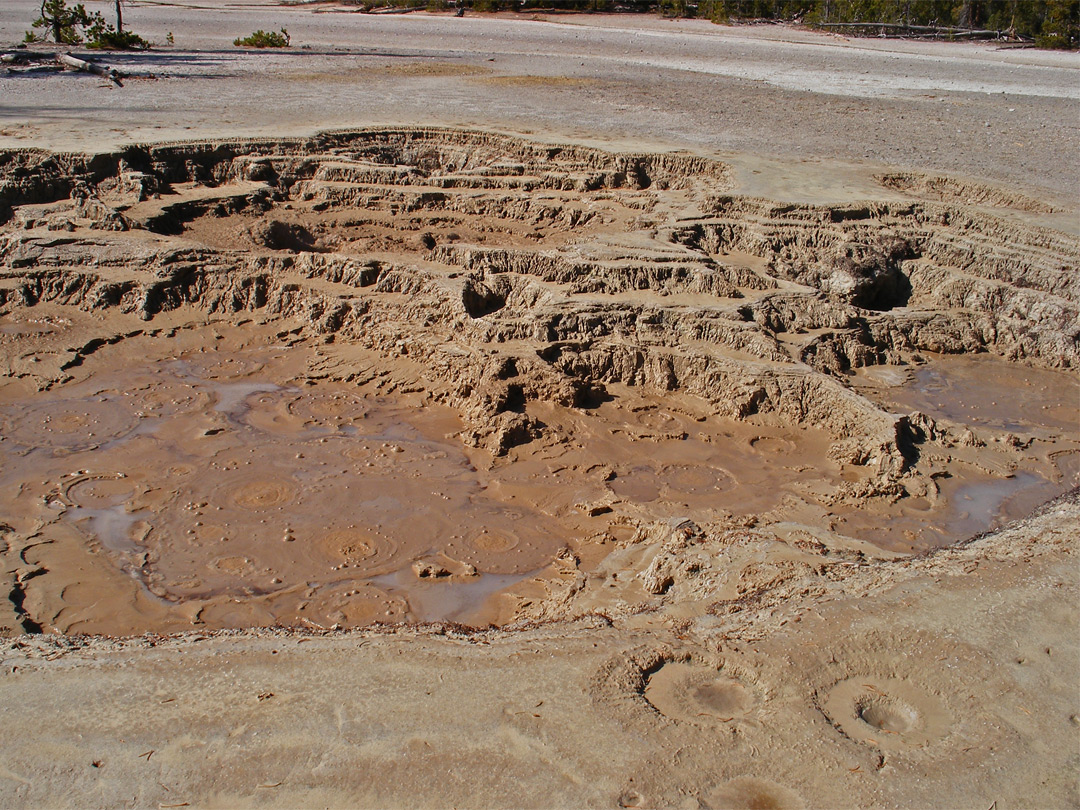 Muddy pool