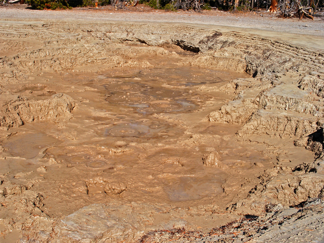 Bubbling mud