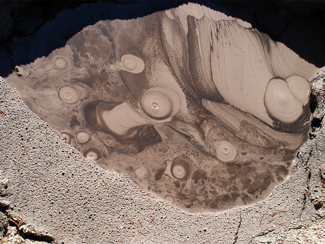 Patterns in a mud pot