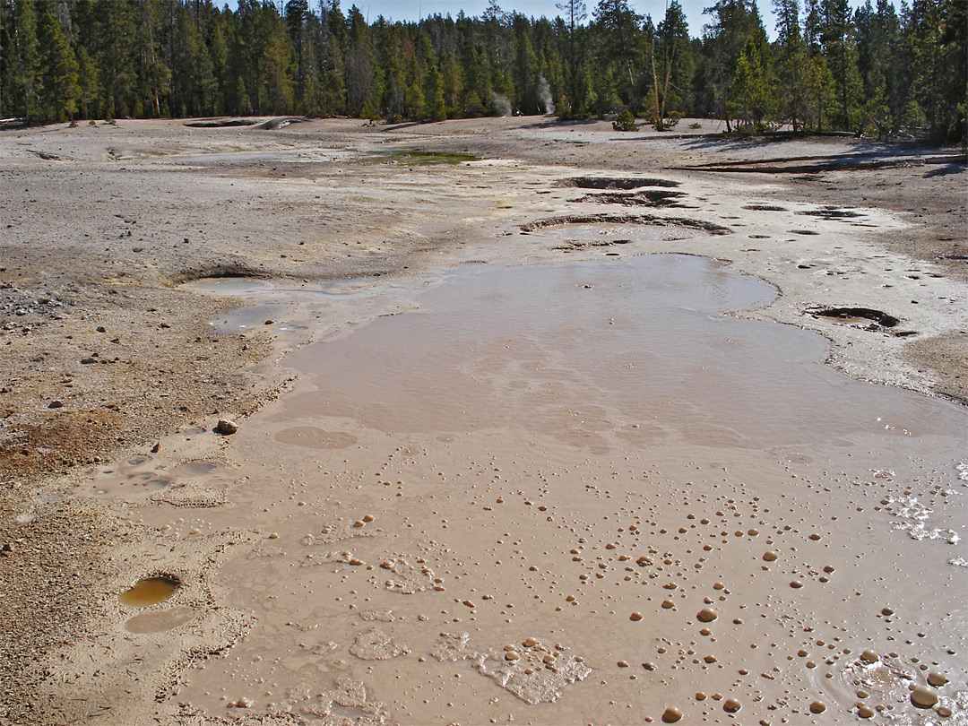 Shallow pool