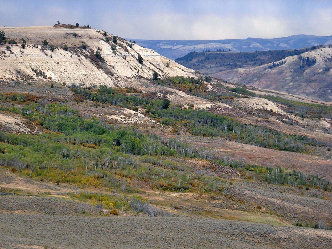 Fossil Butte: Fossil Butte National Monument, Wyoming