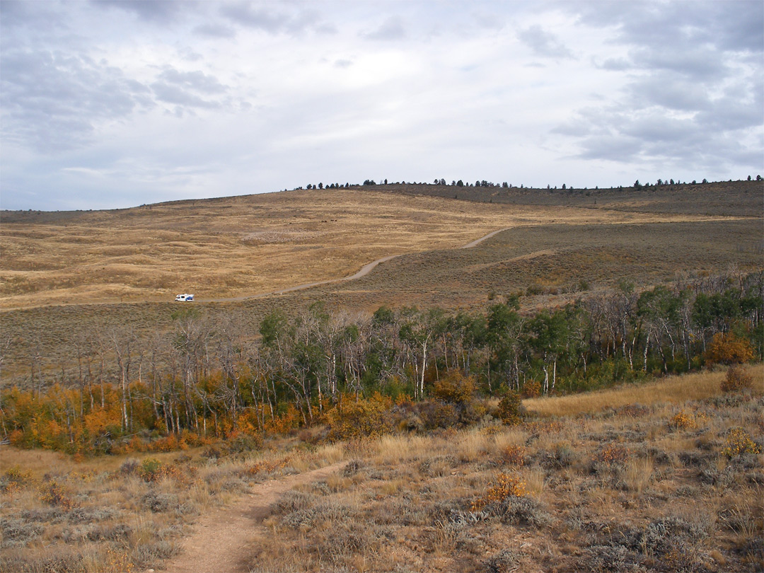 Nature Trail