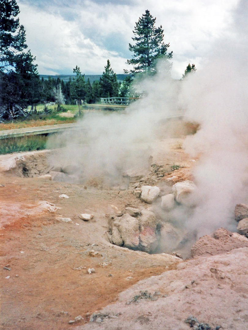 Steam vents