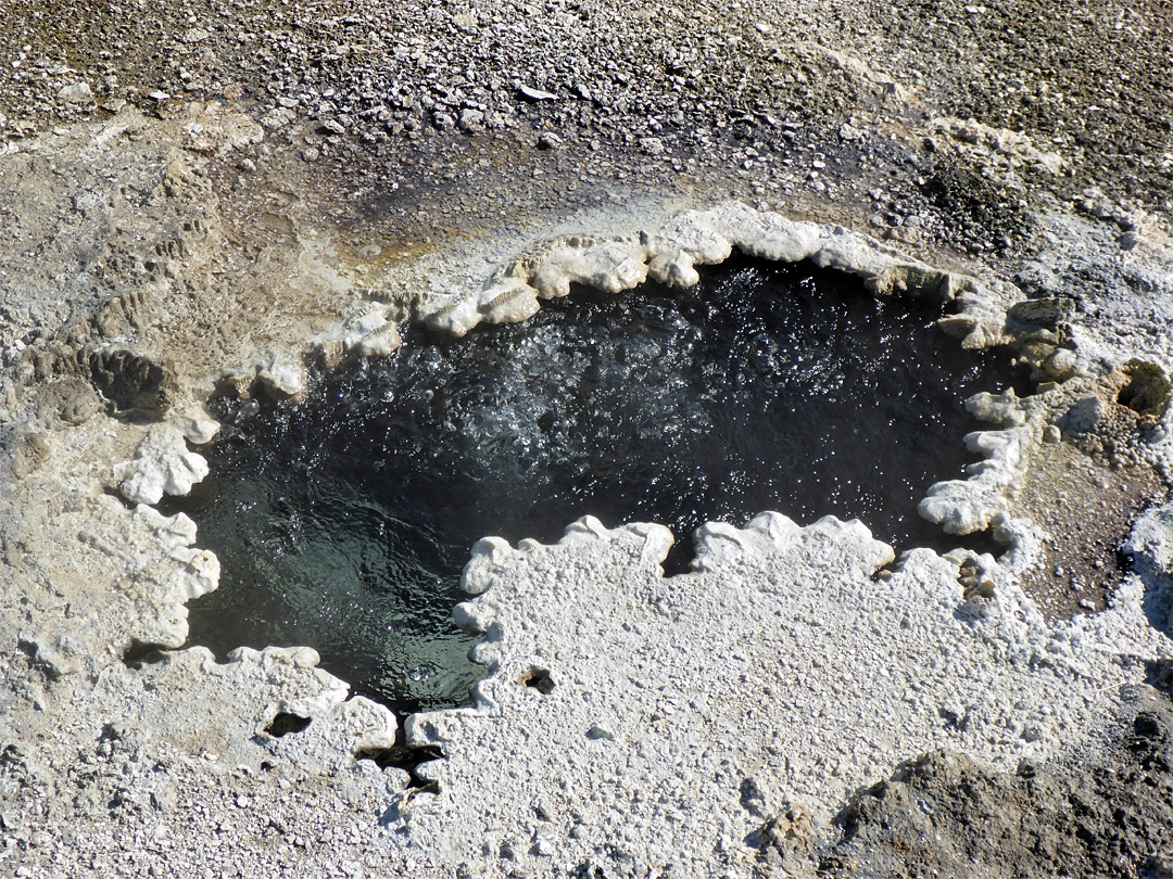 Scalloped pool