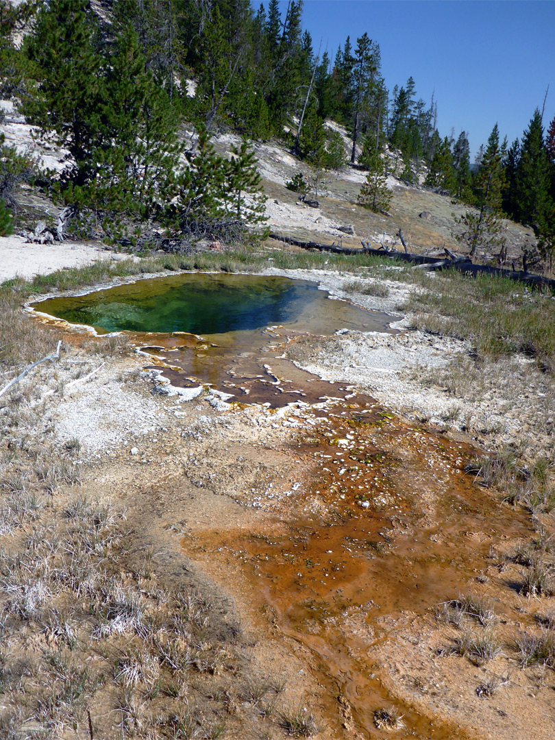 Greenish pool