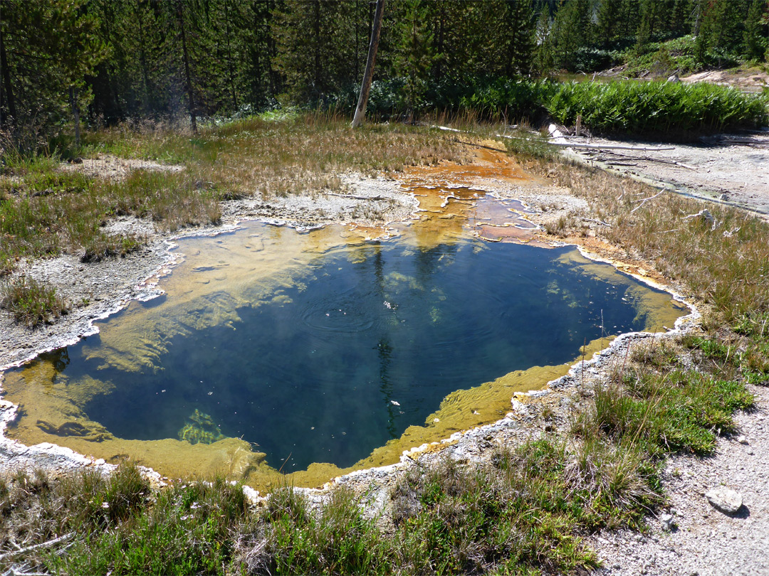 Large, deep pool