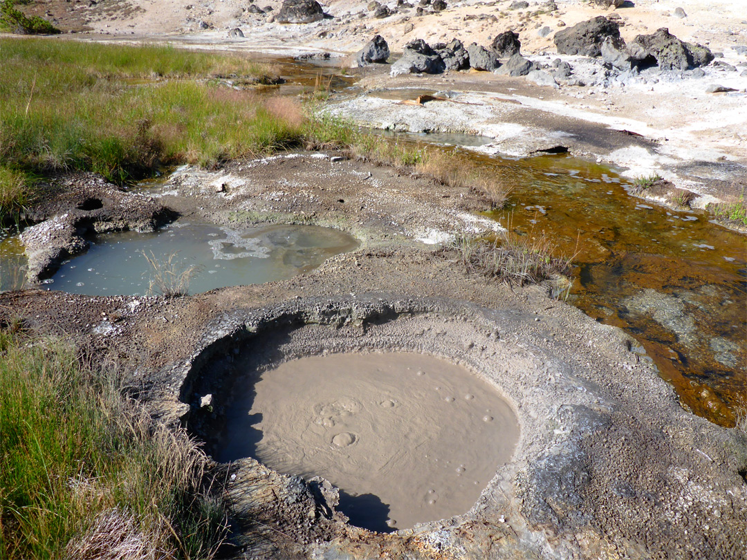 Brown and blue springs