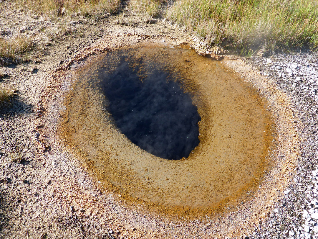 Oval-shaped pool