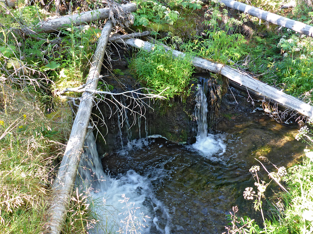 Logs and waterfall