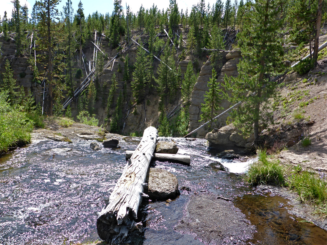Log in the river
