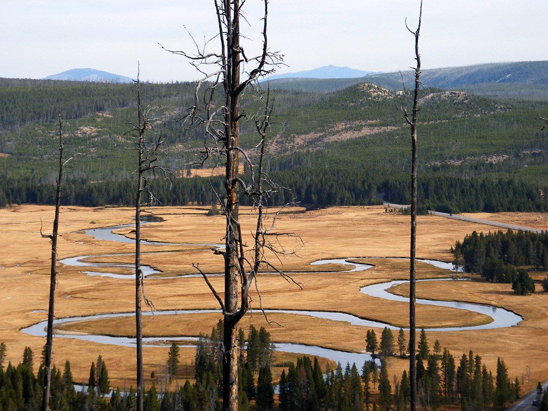 Gibbon River