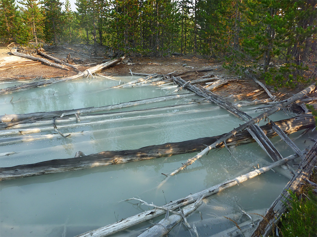 Cloudy, grey-water pool