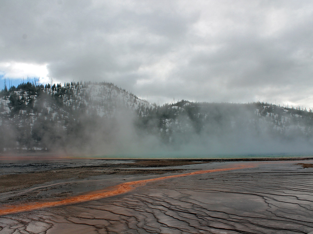 Pool and steam