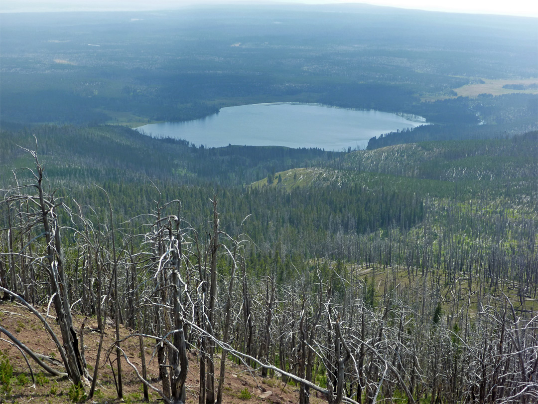 Grebe Lake