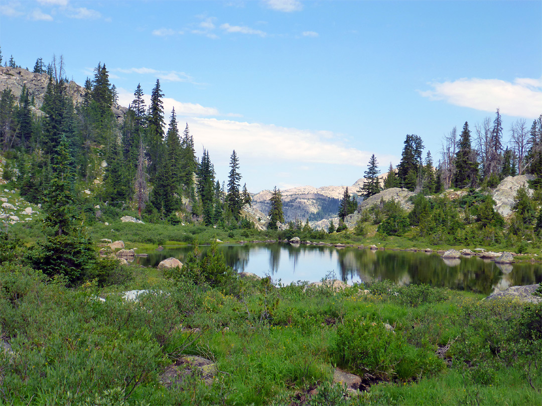 Pond near Hobbs Lake