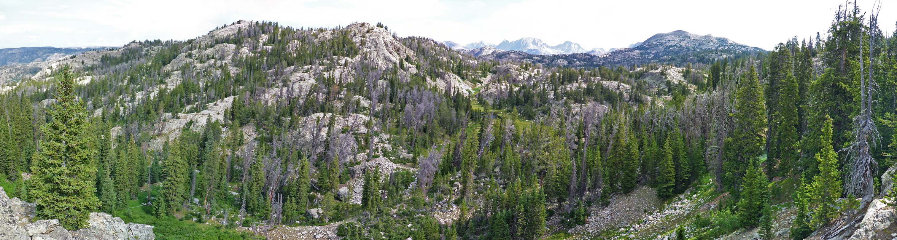 Valley southwest of Hobbs Lake