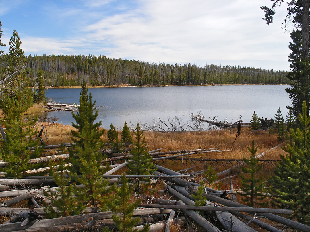 South shore of Ice Lake