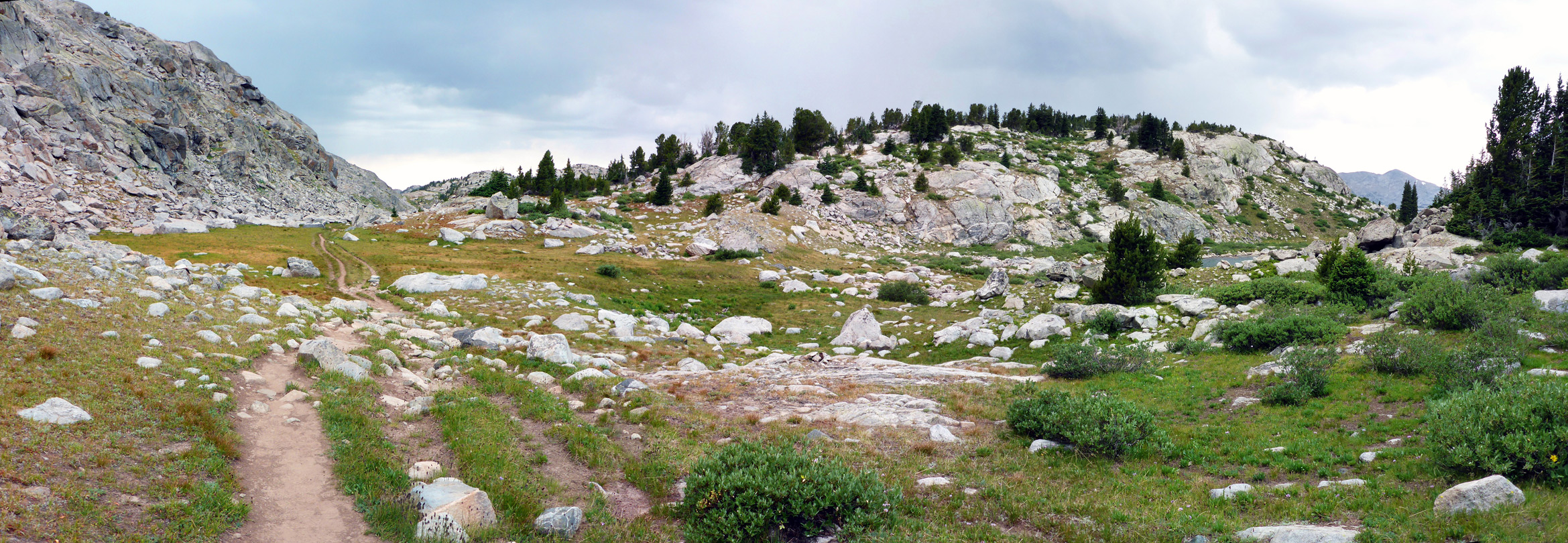 Whitish granite