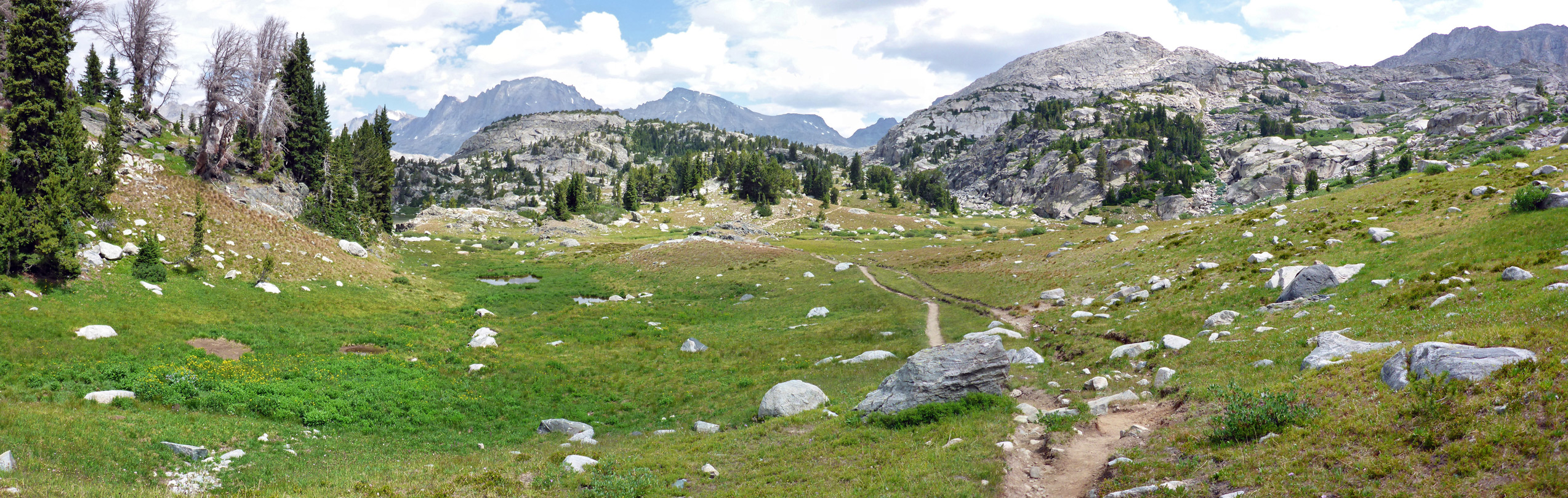 Alpine meadows