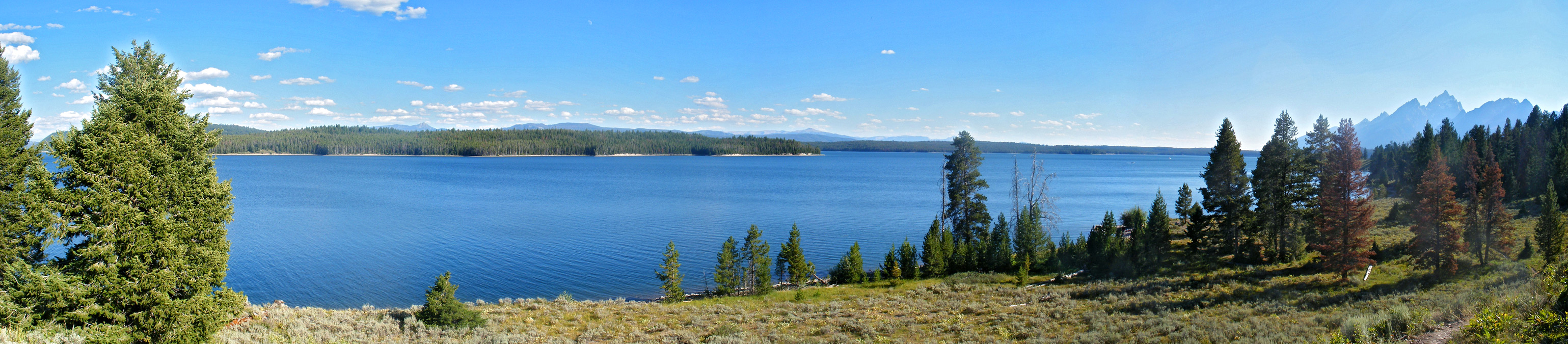 Hillside above Jackson Lake