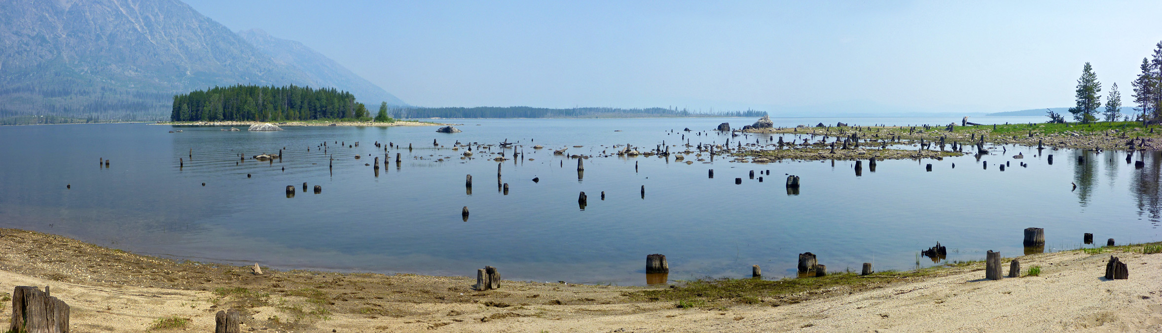 Tree stumps in a lagoon