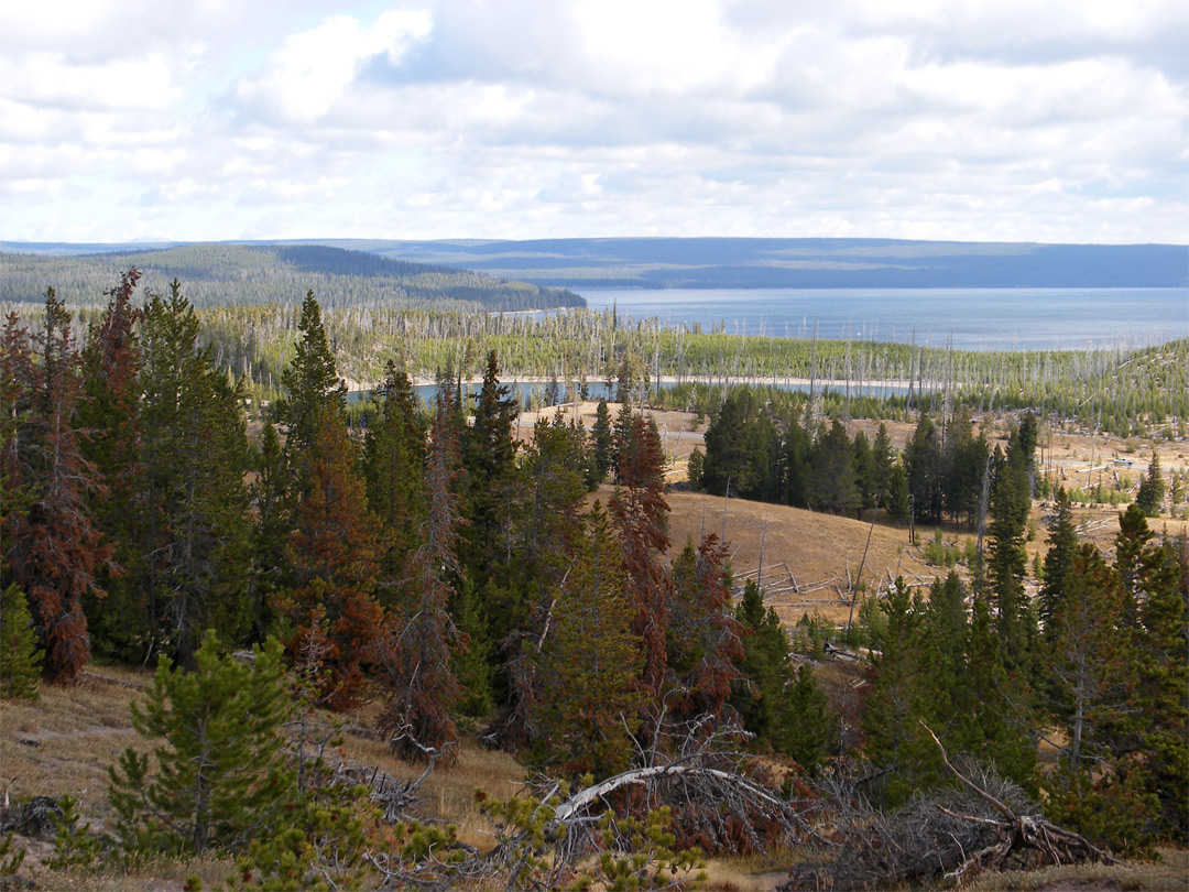 Yellowstone Lake and Duck Lake